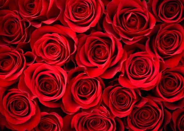 Packages and Add Ons at Highlands of the Smokies Gatlinburg Rentals