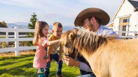 Free Attractions Tickets as our Guest in Gatlinburg with Highlands of the Smokies